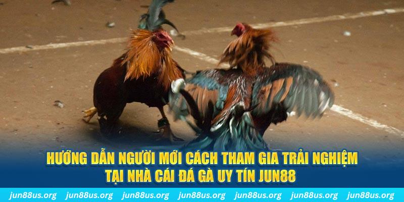 sky 88 loi game dot kich ket noi may chu that bai