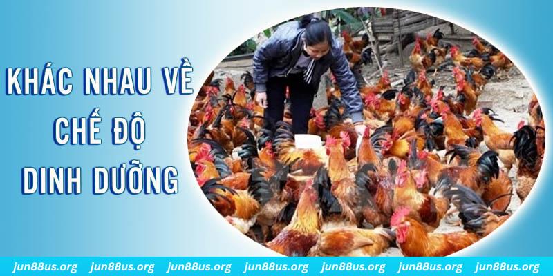 sky 88 xổ số miền nam thứ năm hàng tuần