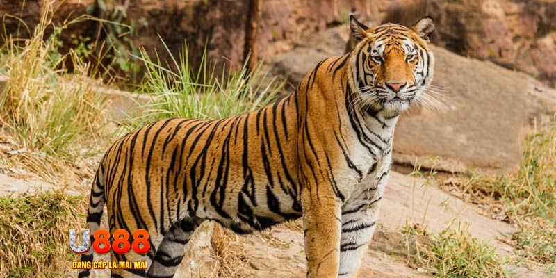 sky 88 game nổ hủ máy bay