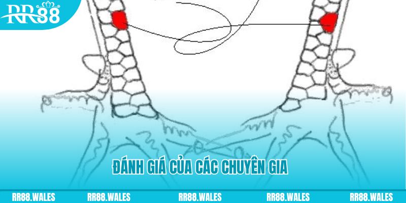 sky 88 V8 Game Bài 3d