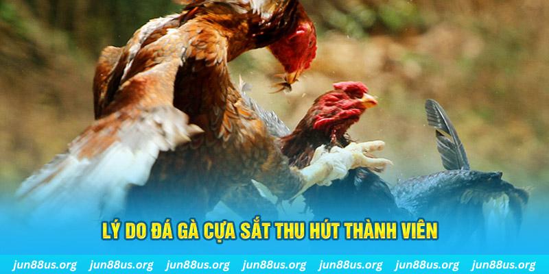 chiếm slot là gì