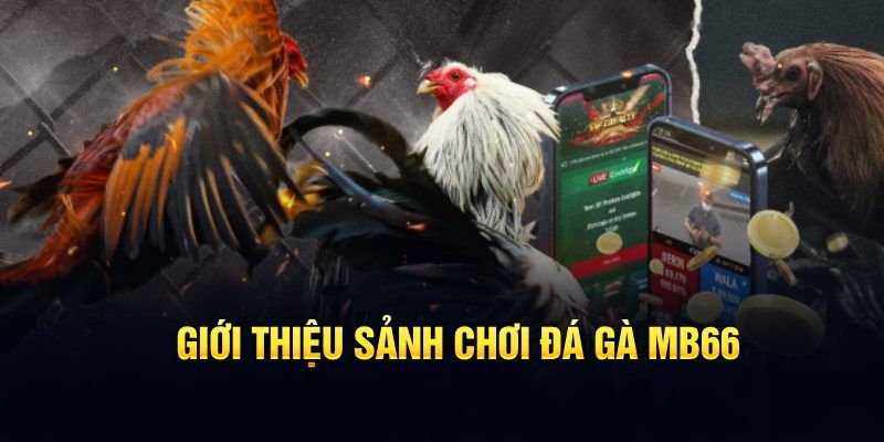 sky 88 đăng nhập poker hôm nay
